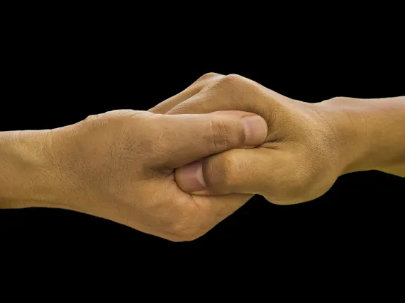 קזינו סטייק 7 תמיכה